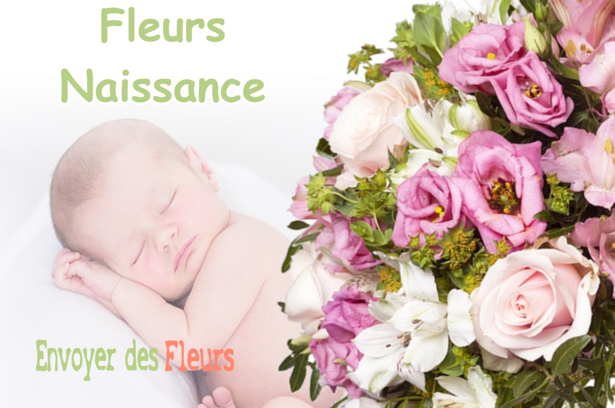 lIVRAISON FLEURS NAISSANCE à SAINT-MARTIN-LE-VINOUX